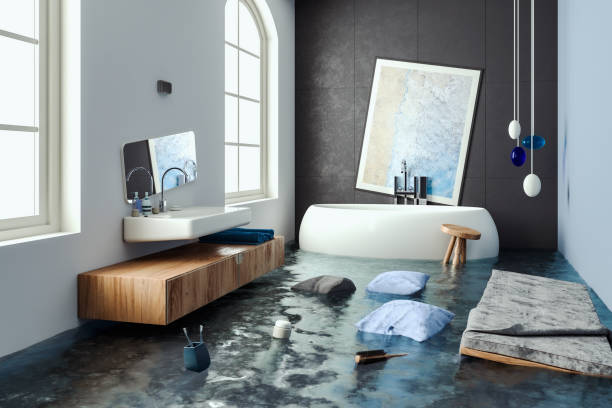 Best Water damage mitigation services  in Minden, NV