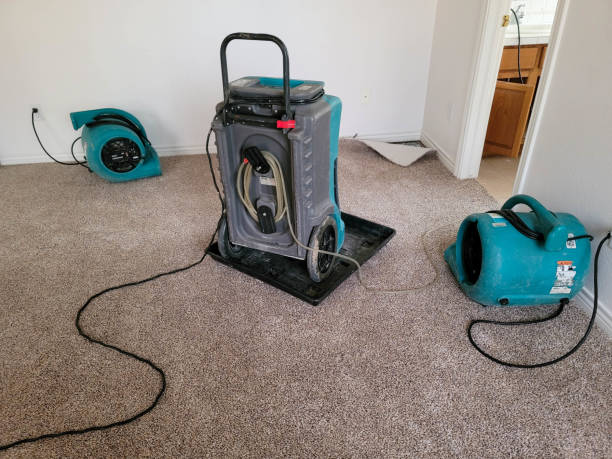 Best 24-hour water damage restoration  in Minden, NV