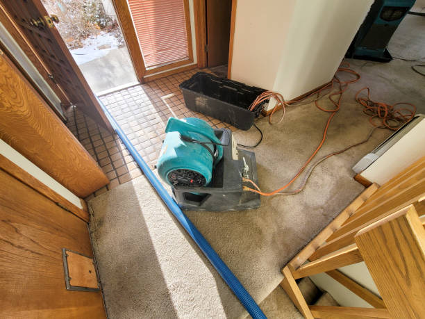 Best Water damage restoration process  in Minden, NV