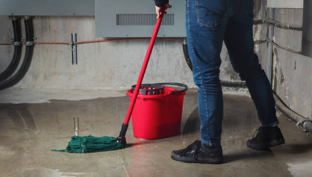 Best Emergency water damage restoration  in Minden, NV