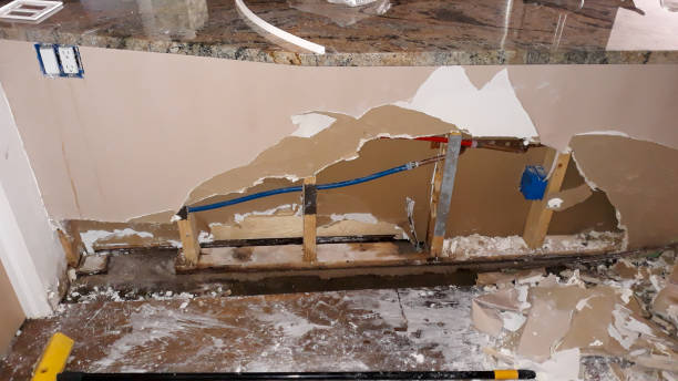Best Local water damage restoration  in Minden, NV