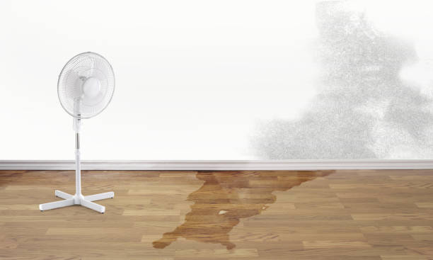 Water damage restoration mold remediation in Minden, NV
