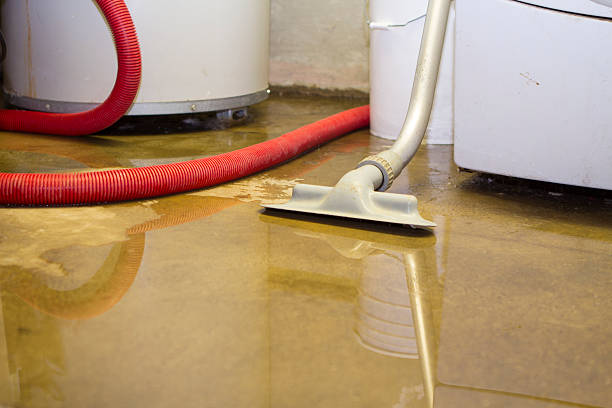  Minden, NV Water damage restoration Pros