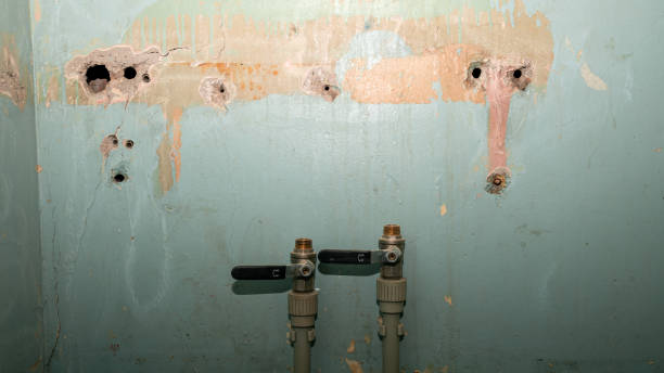 Best Sewage cleanup and water damage restoration  in Minden, NV