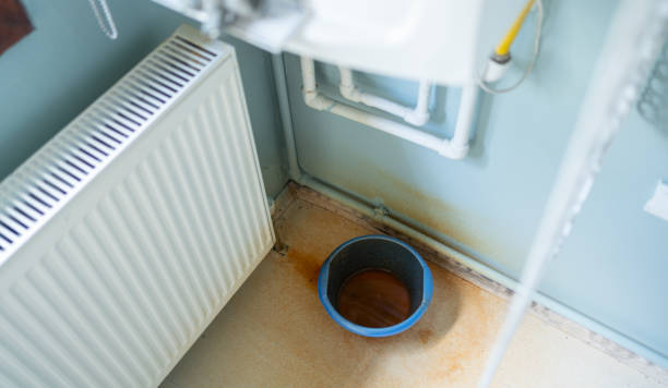 Best Water damage restoration services  in Minden, NV