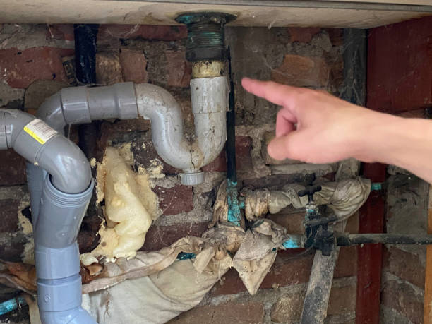 Best Water damage restoration near me  in Minden, NV